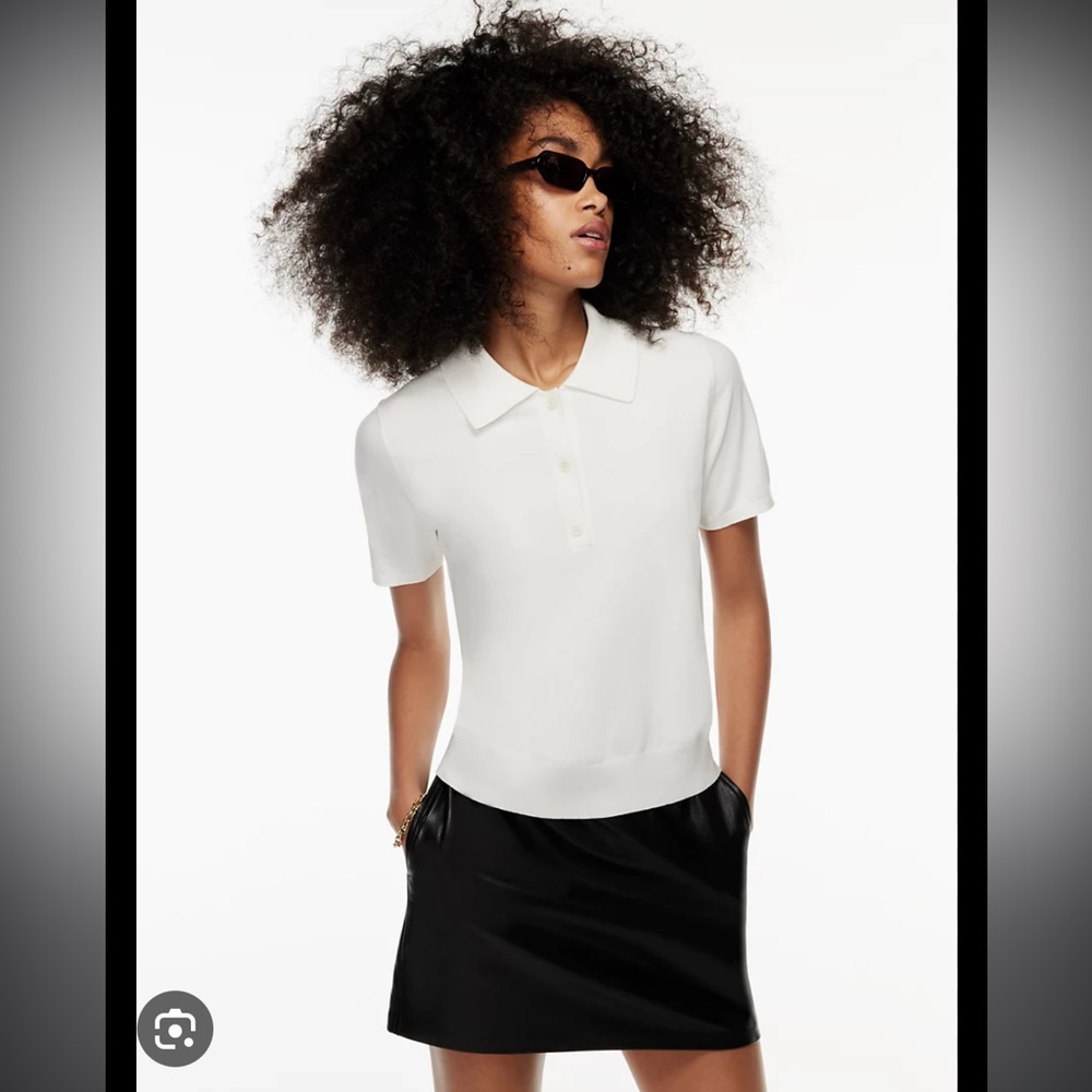 Aritzia Knit Polo Top